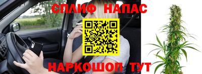 apvp Пугачёв