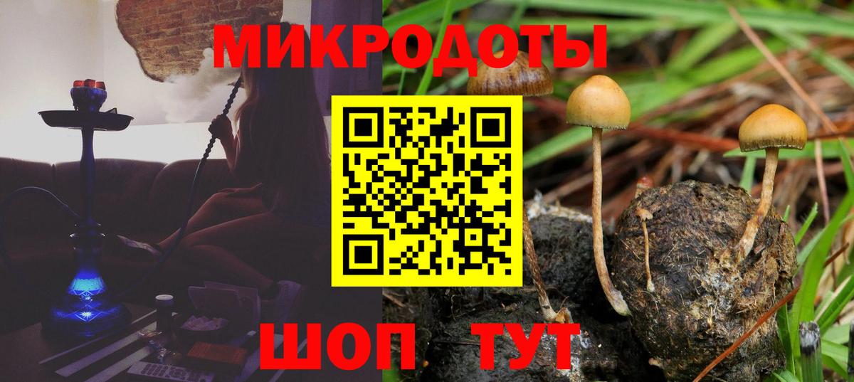 Псилоцибиновые грибы MAGIC MUSHROOMS  Вход с VPN  Свободный  Псилоцибиновые грибы MAGIC MUSHROOMS 